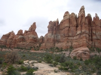 Along the Chesler Park Trail